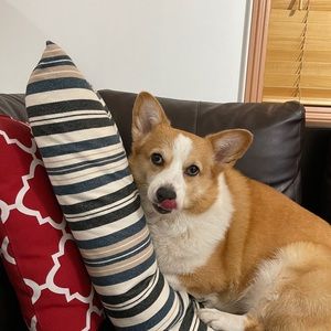 Meet your Posher, Gane